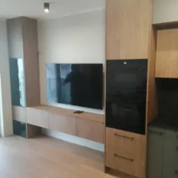 Nowoczesna zabudowa meblowa w salonie z telewizorem i piekarnikiem. Jasne drewno, minimalistyczny design, czarne elementy. W tle widoczne okno.