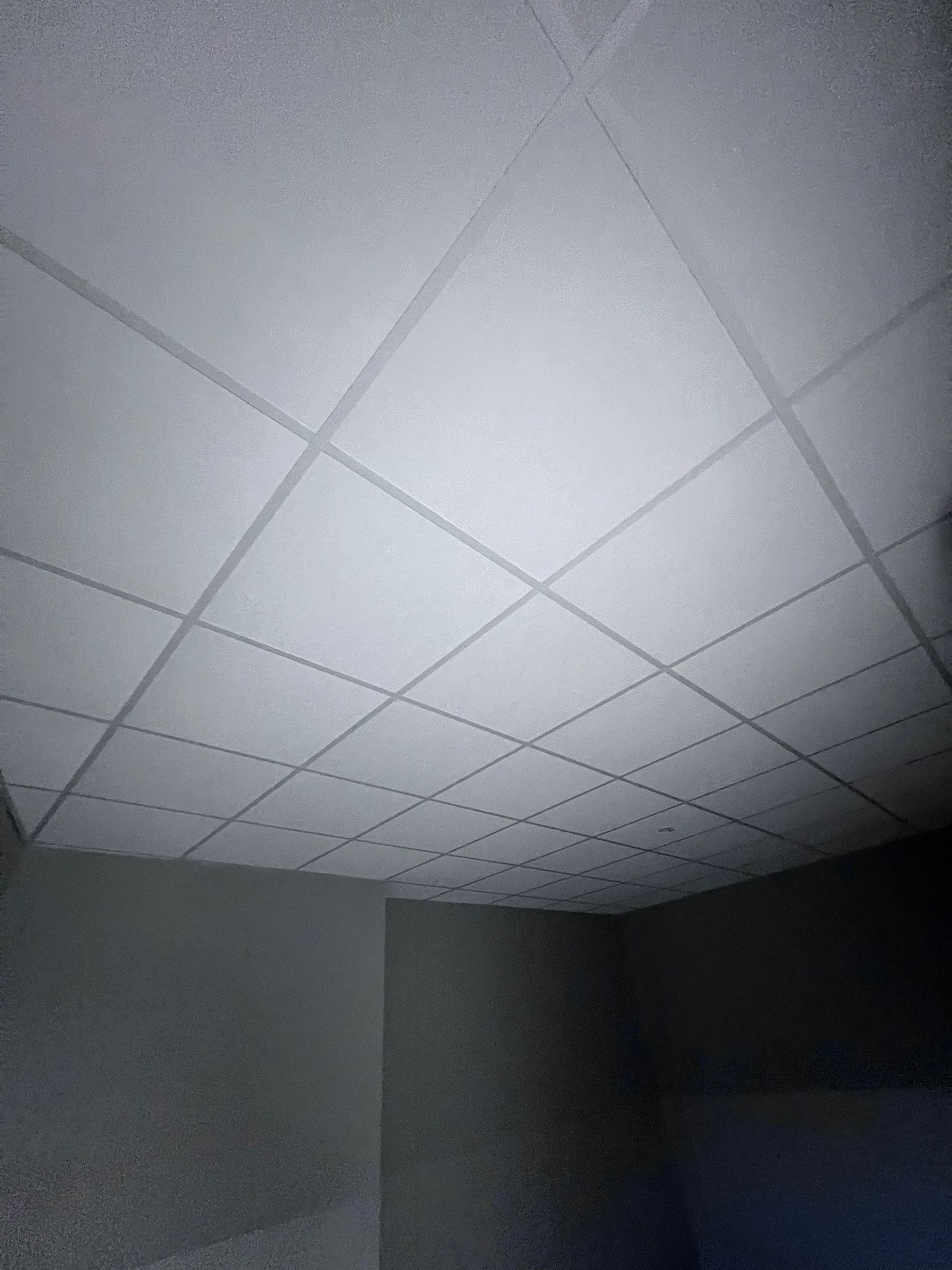 Kasetonowy sufit podwieszany w szarościach, widok z dołu, podkreślający regularny układ paneli i delikatne oświetlenie wnętrza.