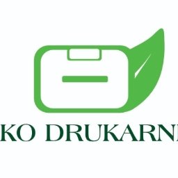 Nikola Śliwińska - Przykładowe logo