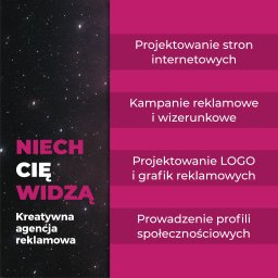 Tworzenie stron internetowych Pisarzowice 1