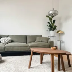 Stylowe wnętrze: zielona sofa z poduszkami, drewniany stolik kawowy na puszystym dywanie. Minimalistyczny design z rośliną i lampą. Jasne, nowoczesne mieszkanie.