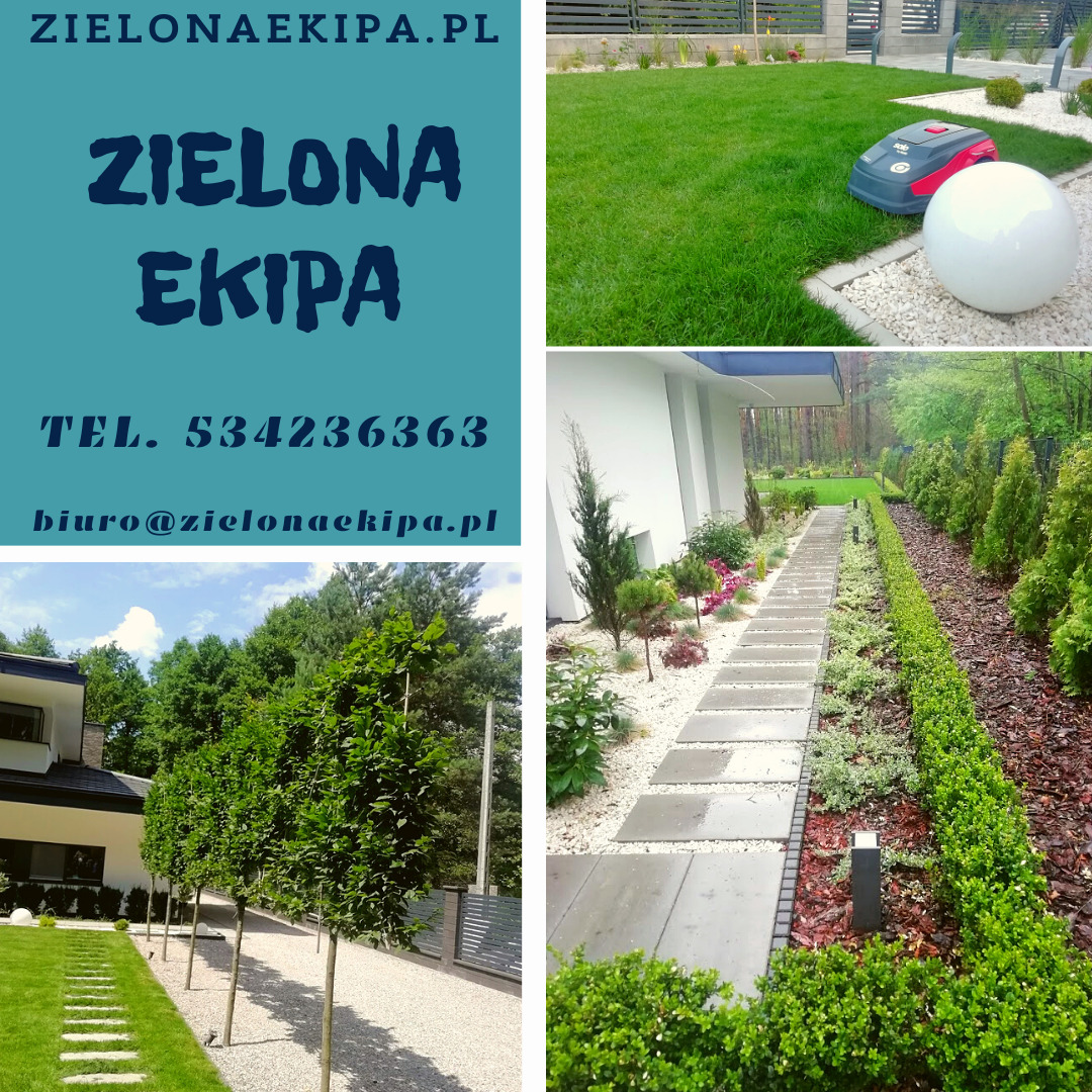 Nowoczesny ogród: trawnik z robotem koszącym, ścieżka z płyt i kamienia, rabaty z krzewami i drzewami. Zadbana zieleń i elementy dekoracyjne.