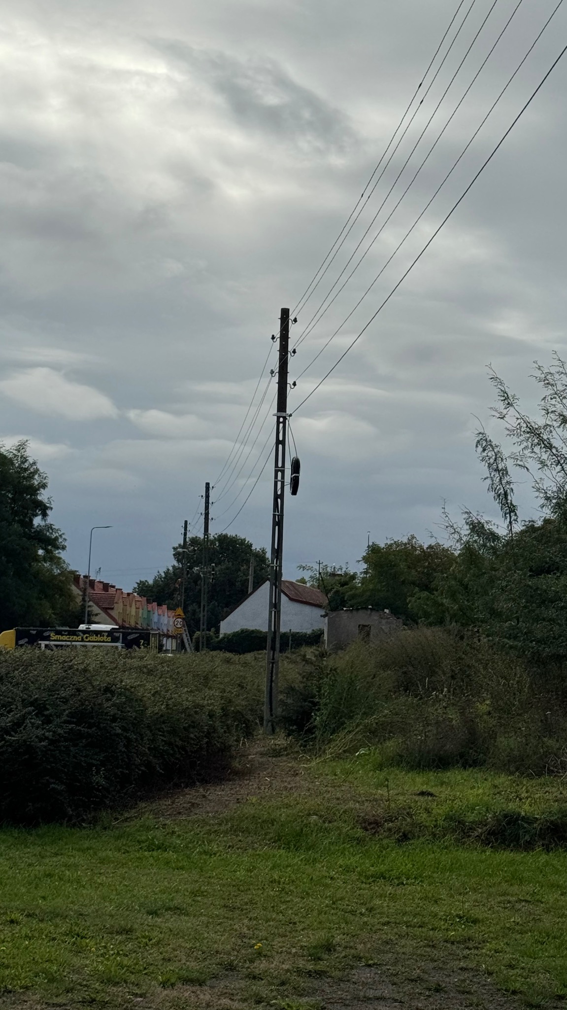 Słup telekomunikacyjny z przewodami na tle pochmurnego nieba i zabudowań. Widoczne elementy infrastruktury telekomunikacyjnej w otoczeniu zieleni.