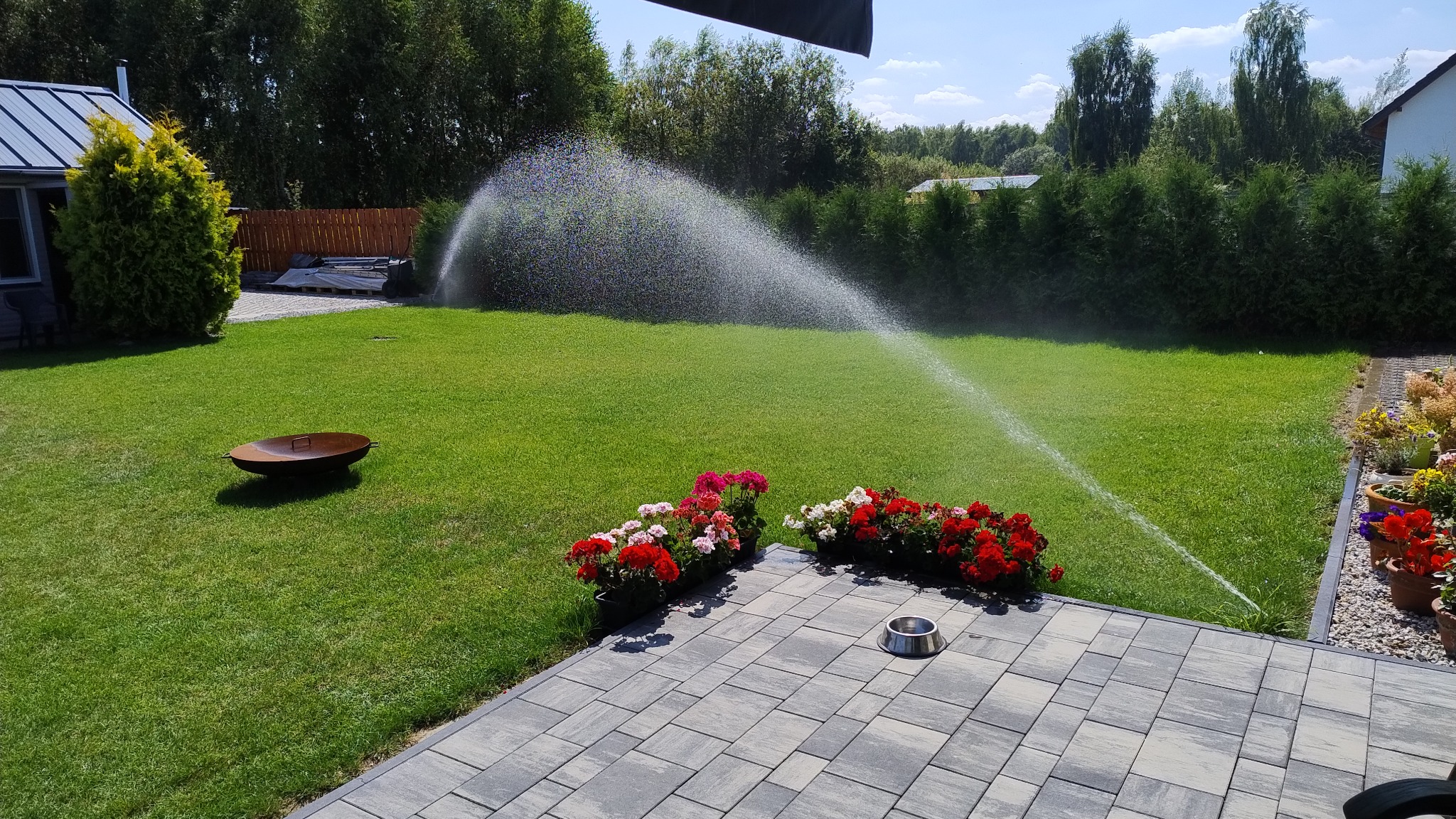 Automatyczne nawadnianie trawnika zraszaczem sektorowym. Widok na soczystą, zieloną trawę, kwiaty w donicach i palenisko ogrodowe w słoneczny dzień.