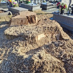 Wycinka drzew Klecza Górna 1