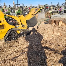 Wycinka drzew Klecza Górna 2