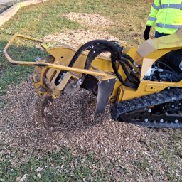 Wycinka drzew Klecza Górna 3