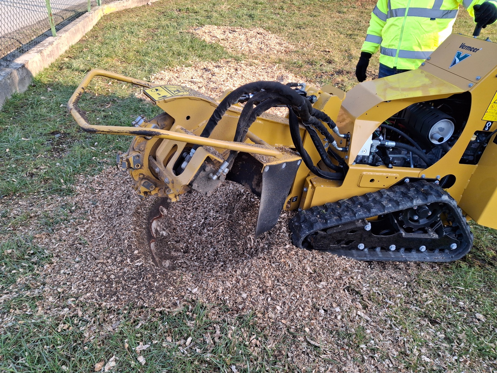 Żółta frezarka do pni Vermeer na trawie z wiórami, operator w odblaskowej kurtce. Widoczne gąsienice i głowica frezująca.