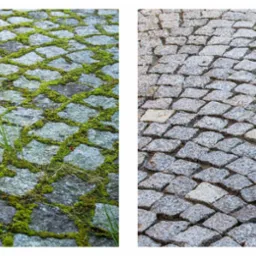 Porównanie kostki brukowej: zarośnięta mchem i oczyszczona. Widoczne różnice w kolorze i wyglądzie, ukazujące efekt po czyszczeniu.