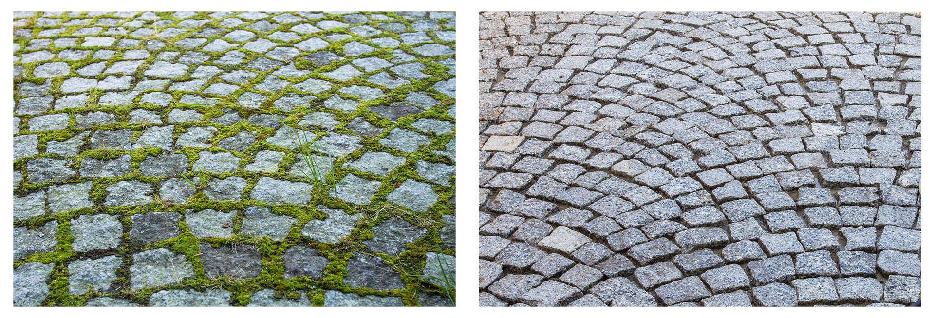 Porównanie kostki brukowej: zarośnięta mchem i oczyszczona. Widoczne różnice w kolorze i wyglądzie, ukazujące efekt po czyszczeniu.