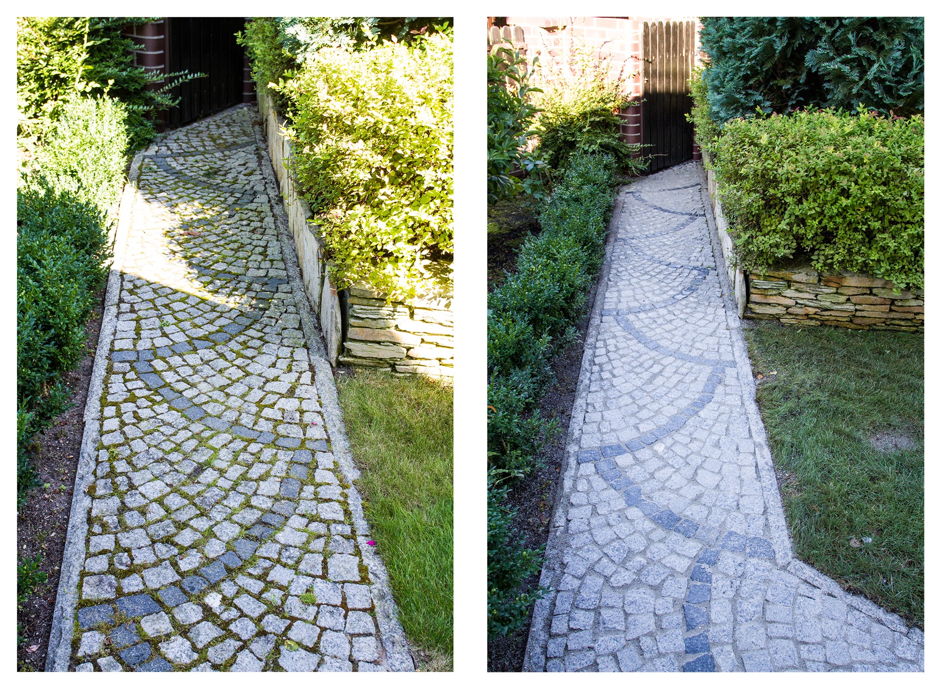 Zdjęcie kostki brukowej przed i po czyszczeniu. Po lewej stronie kostka z mchem, po prawej czysta, szara kostka brukowa. Widoczne krzewy i trawa.
