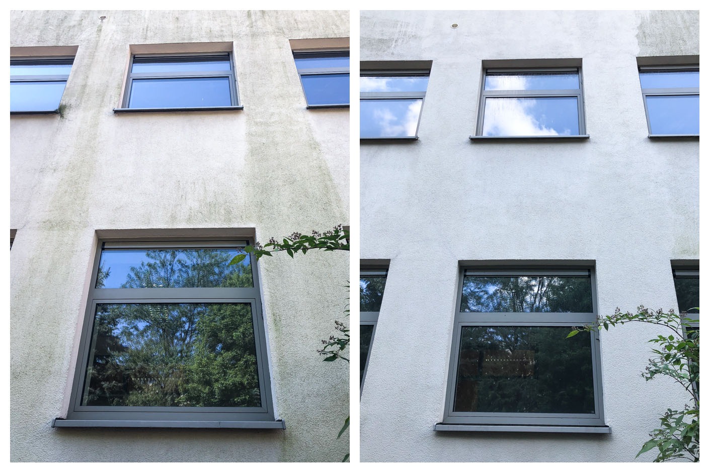 Zdjęcie elewacji budynku podzielone na dwie części: brudna (przed myciem) i czysta (po myciu). Widoczne okna z szarymi ramami i fragment rośliny po prawej stronie.
