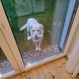 Naprawa okien Gdańsk 2