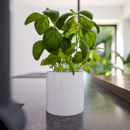 Modelarium - Grafik Wrocław