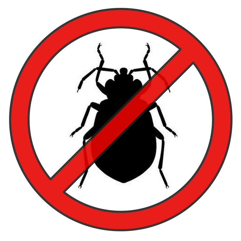 Czarny symbol pluskwy przekreślony czerwonym okręgiem na białym tle. Grafika informująca o zakazie występowania insektów.