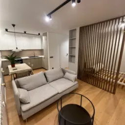 Nowoczesne oświetlenie szynowe z reflektorami w jasnym wnętrzu mieszkania z aneksem kuchennym, drewnianą ścianką działową i szarą kanapą.