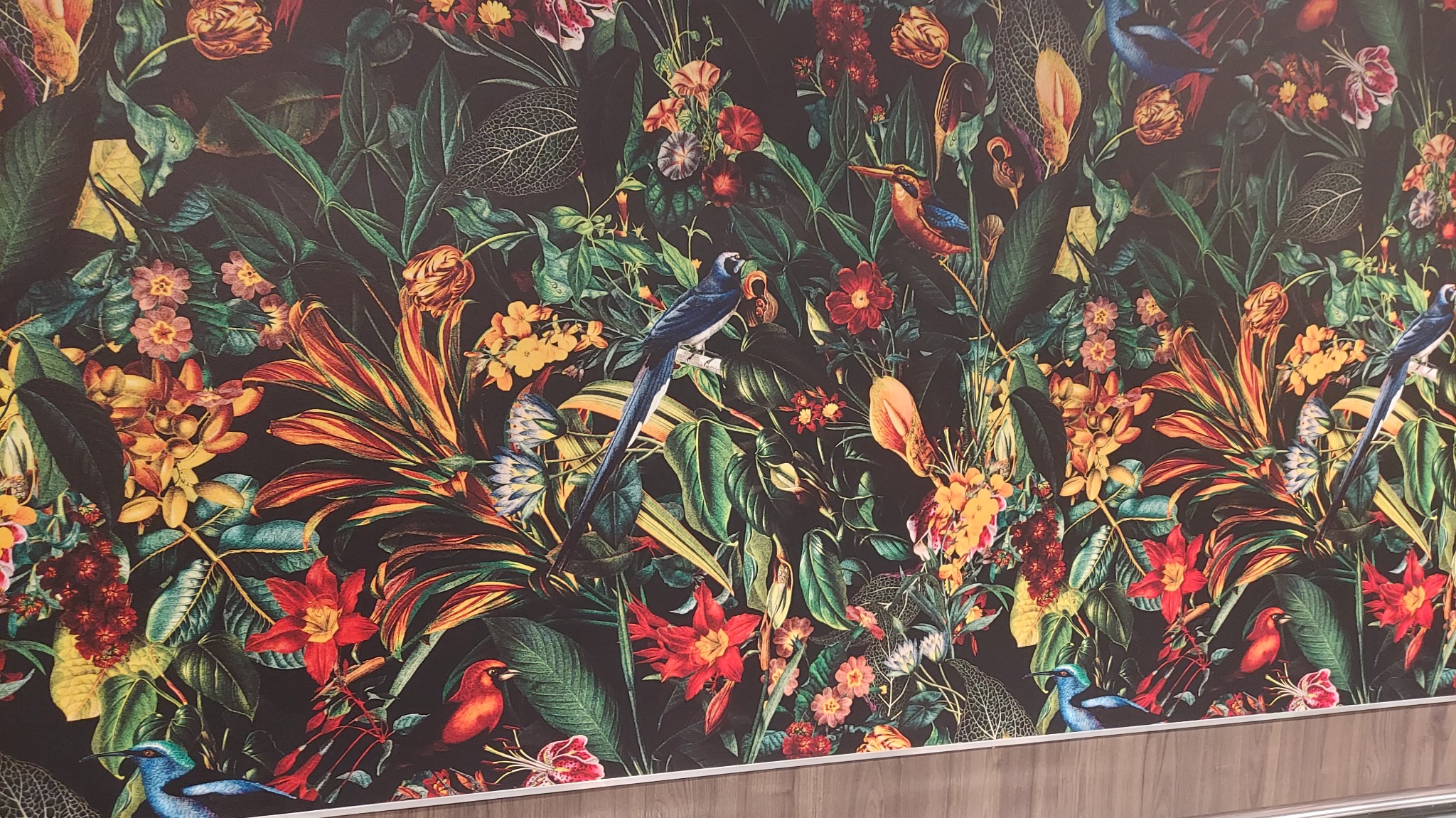 Ściana z fototapetą w tropikalne kwiaty i ptaki na ciemnym tle. Wyraziste kolory, gęsty wzór, widoczna dolna listwa przypodłogowa w odcieniach brązu.