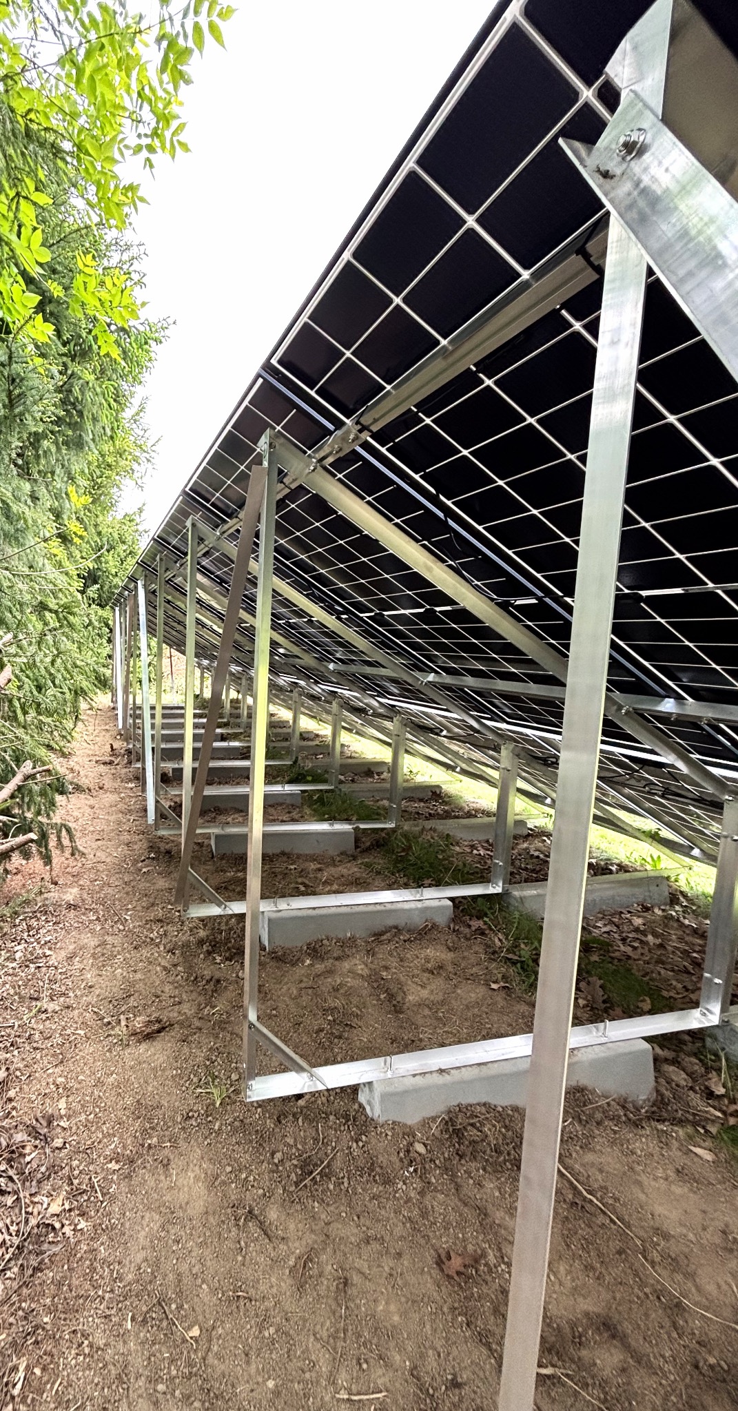 Widok od spodu na panele fotowoltaiczne zamontowane na metalowej konstrukcji, z zielenią w tle. Perspektywa z dołu podkreśla regularność i skalę instalacji.