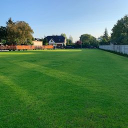 Trawa z rolki Łódź 1