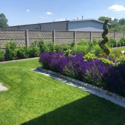 Trawa z rolki Łódź 4