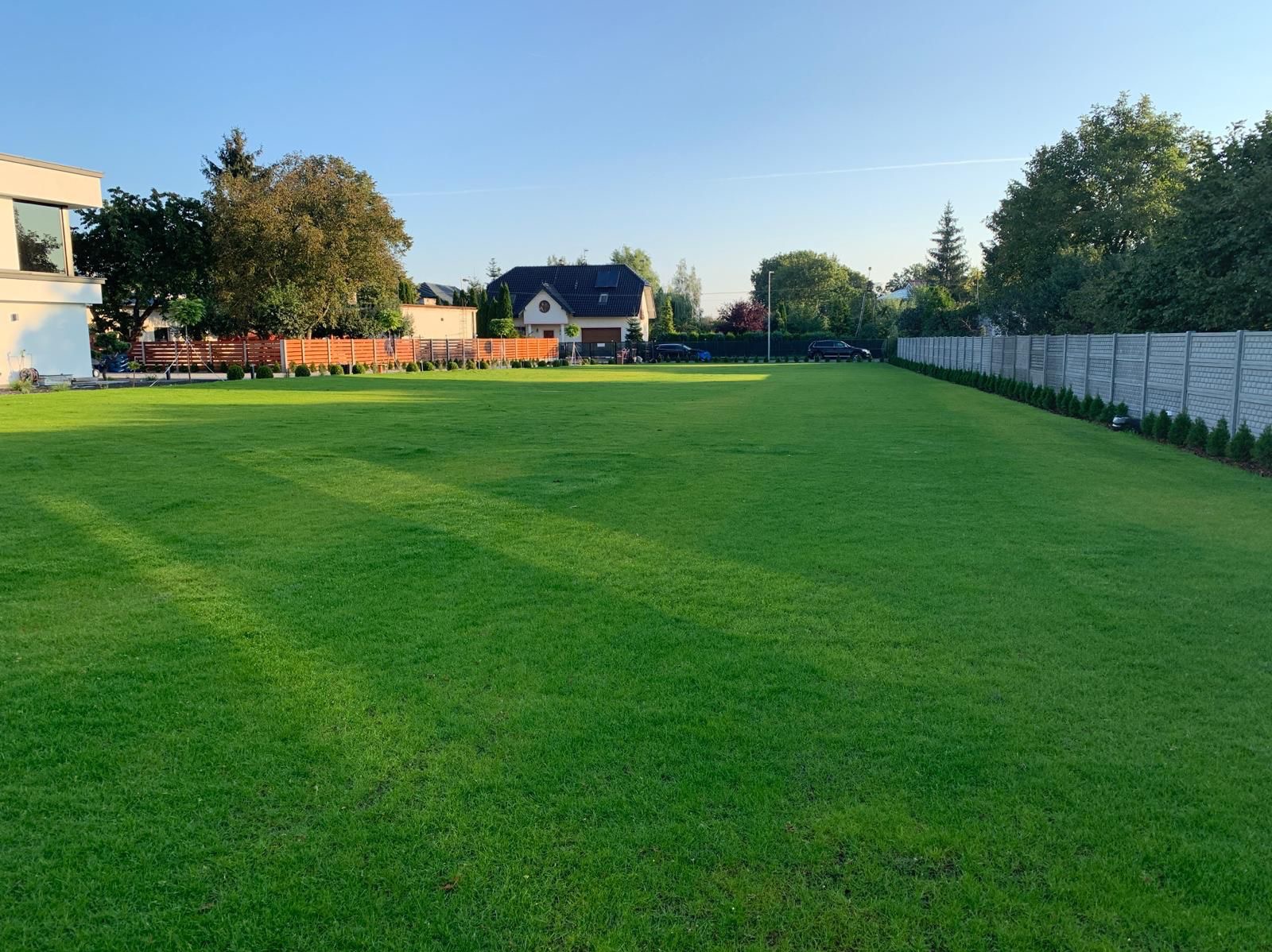 Rozległy, intensywnie zielony trawnik przed domem jednorodzinnym, ogrodzony płotem z tujami. Widoczne drzewa i zaparkowane samochody w tle, w słoneczny dzień.