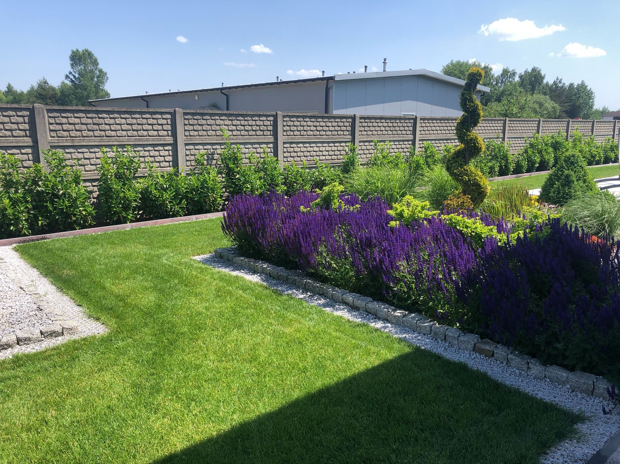 Zadbany ogród z równo przystrzyżonym trawnikiem, rabatami kwiatowymi z fioletowymi kwiatami i ozdobnymi krzewami, obrzeża z kamienia, betonowe ogrodzenie w tle.