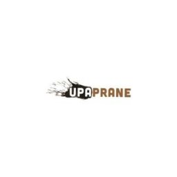Upaprane - Pranie Wykładzin Gdańsk