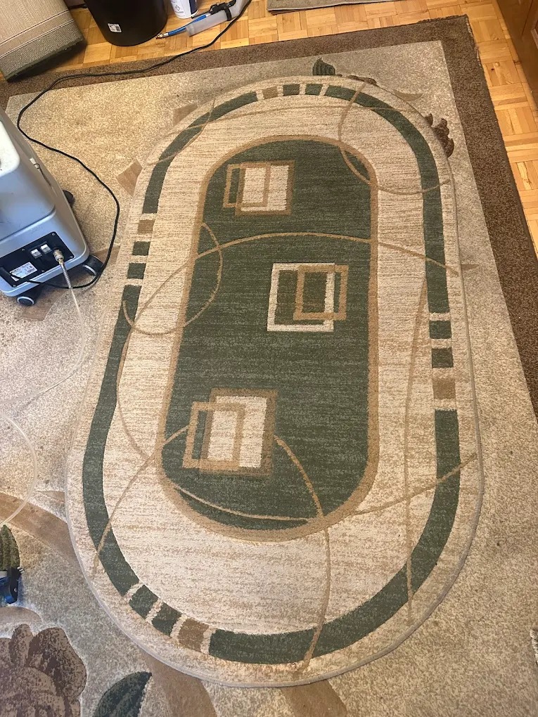 Owalny dywan z geometrycznym wzorem w odcieniach zieleni i beżu, częściowo widoczny sprzęt do prania dywanów po lewej stronie kadru.