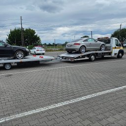 ARPIKO SPÓŁKA Z OGRANICZONĄ ODPOWIEDZIALNOŚCIĄ - Firma Przewozowa Lubsza