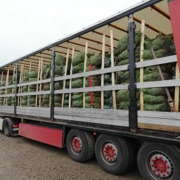 Transport międzynarodowy Brzeziny 3