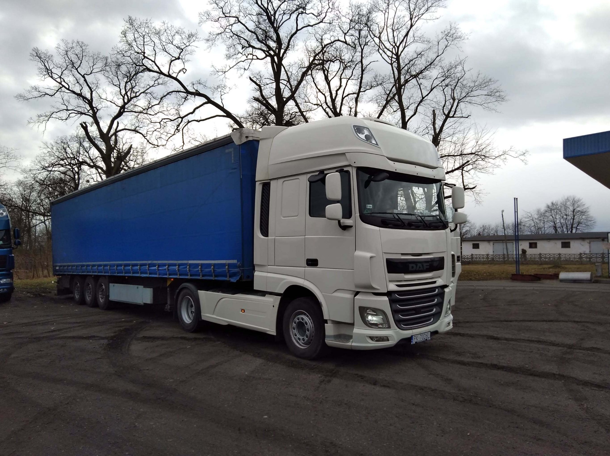 Biała ciężarówka DAF z niebieską naczepą na placu, widok z przodu, na tle drzew bez liści i pochmurnego nieba. Widoczne ślady opon na ziemi.