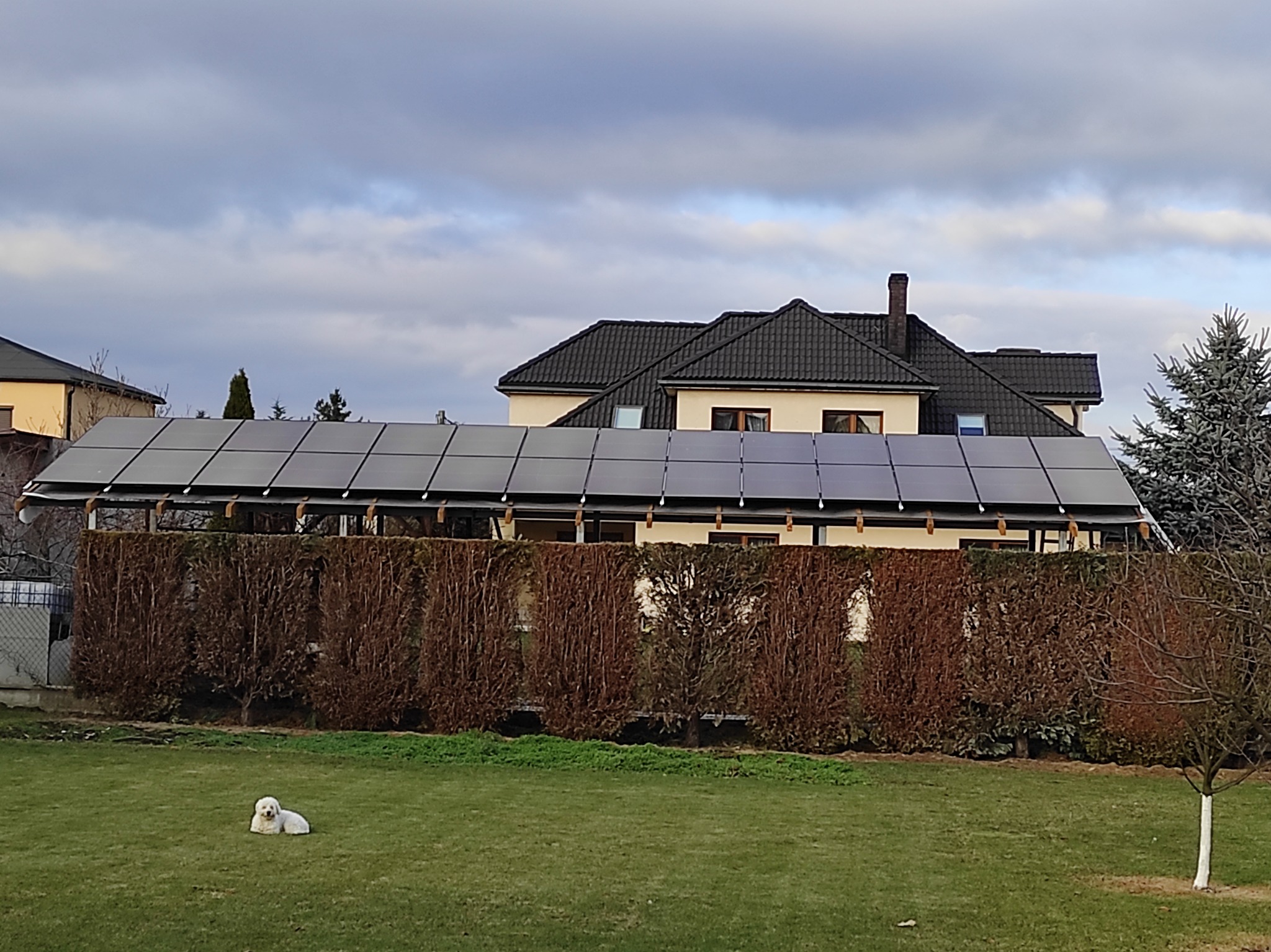 Instalacja fotowoltaiczna na zadaszeniu tarasu domu jednorodzinnego, widoczna z ogrodu. Na trawniku leży biały pies. Pochmurne niebo.
