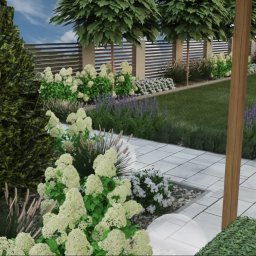 Joanna Furdyna zieleń planowana - Wizualizacja ogrodu z białymi hortensjami, trawami ozdobnymi i ścieżką z jasnych płyt. W tle drewniany płot i równe rzędy drzew. Ujęcie z niskiej perspektywy.