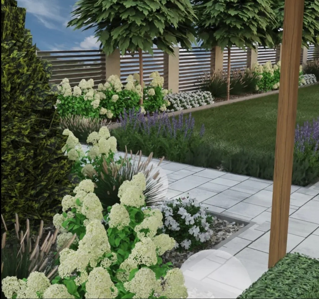 Wizualizacja ogrodu z białymi hortensjami, trawami ozdobnymi i ścieżką z jasnych płyt. W tle drewniany płot i równe rzędy drzew. Ujęcie z niskiej perspektywy.