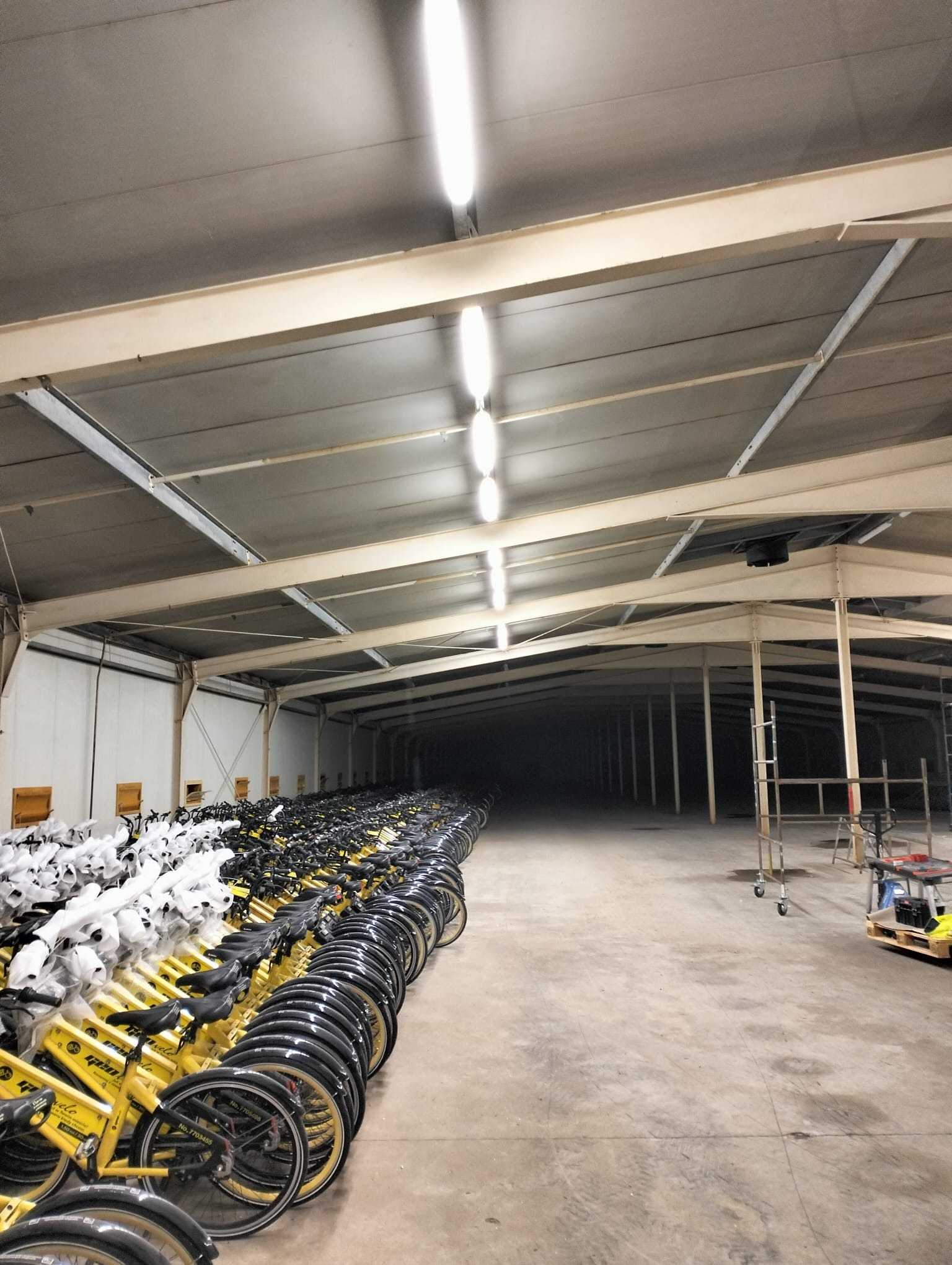 Wnętrze hali magazynowej z rzędami żółtych rowerów, oświetlonej lampami jarzeniowymi. Widoczne metalowe konstrukcje dachu i betonowa posadzka. Perspektywa zbieżna w głąb hali.