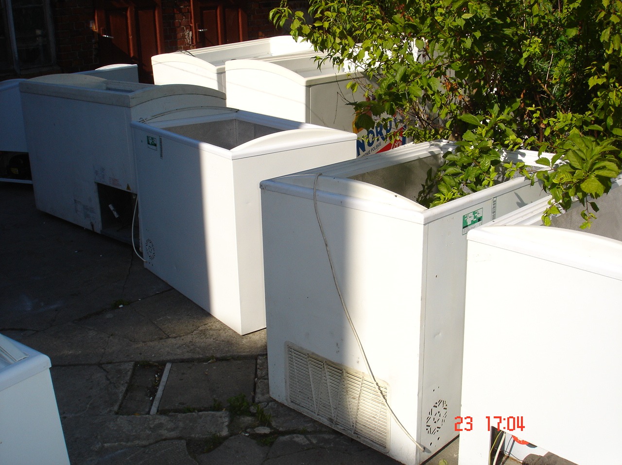 Rząd starych, białych zamrażarek skrzyniowych ustawionych na zewnątrz, niektóre z roślinami rosnącymi w środku. Widoczne detale obudowy i kratki wentylacyjne.