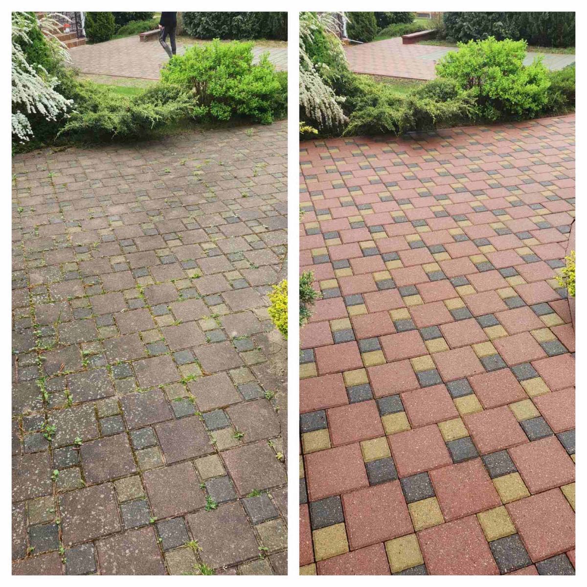 Kostka brukowa przed i po czyszczeniu, po lewej stronie brudna i porośnięta mchem, po prawej czysta, z intensywnymi kolorami. Widoczne krzewy i fragment budynku w tle.