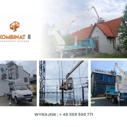 Wycinka drzew Kraków 2