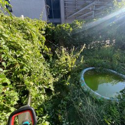 Wycinka drzew Katowice 2