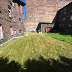 Wycinka drzew Katowice 3