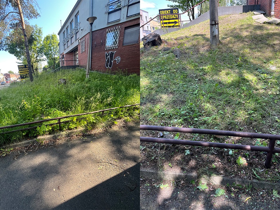 Porównanie terenu zielonego przed i po zabiegu koszenia. Po lewej zaniedbana trawa, po prawej skoszona, schludna powierzchnia. Metalowe barierki w dolnej części kadru.