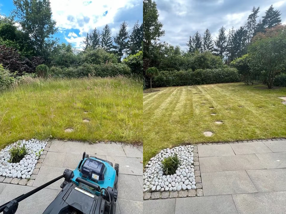 Efekt koszenia trawy: porównanie zaniedbanego trawnika z wysoką trawą i trawnika po koszeniu z widocznymi pasami, z użyciem kosiarki elektrycznej.