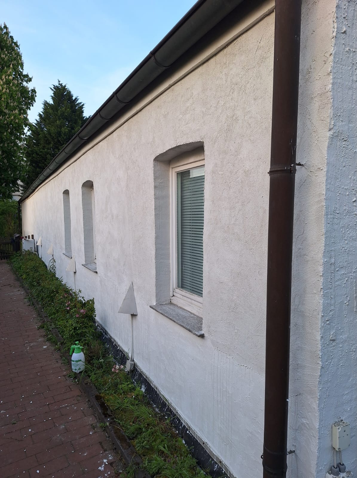 Elewacja budynku po malowaniu na biało, widoczne okna z żaluzjami, rynna i ślady farby na chodniku. Wzdłuż ściany rosną rośliny. Butelka z rozpylaczem leży na ziemi.