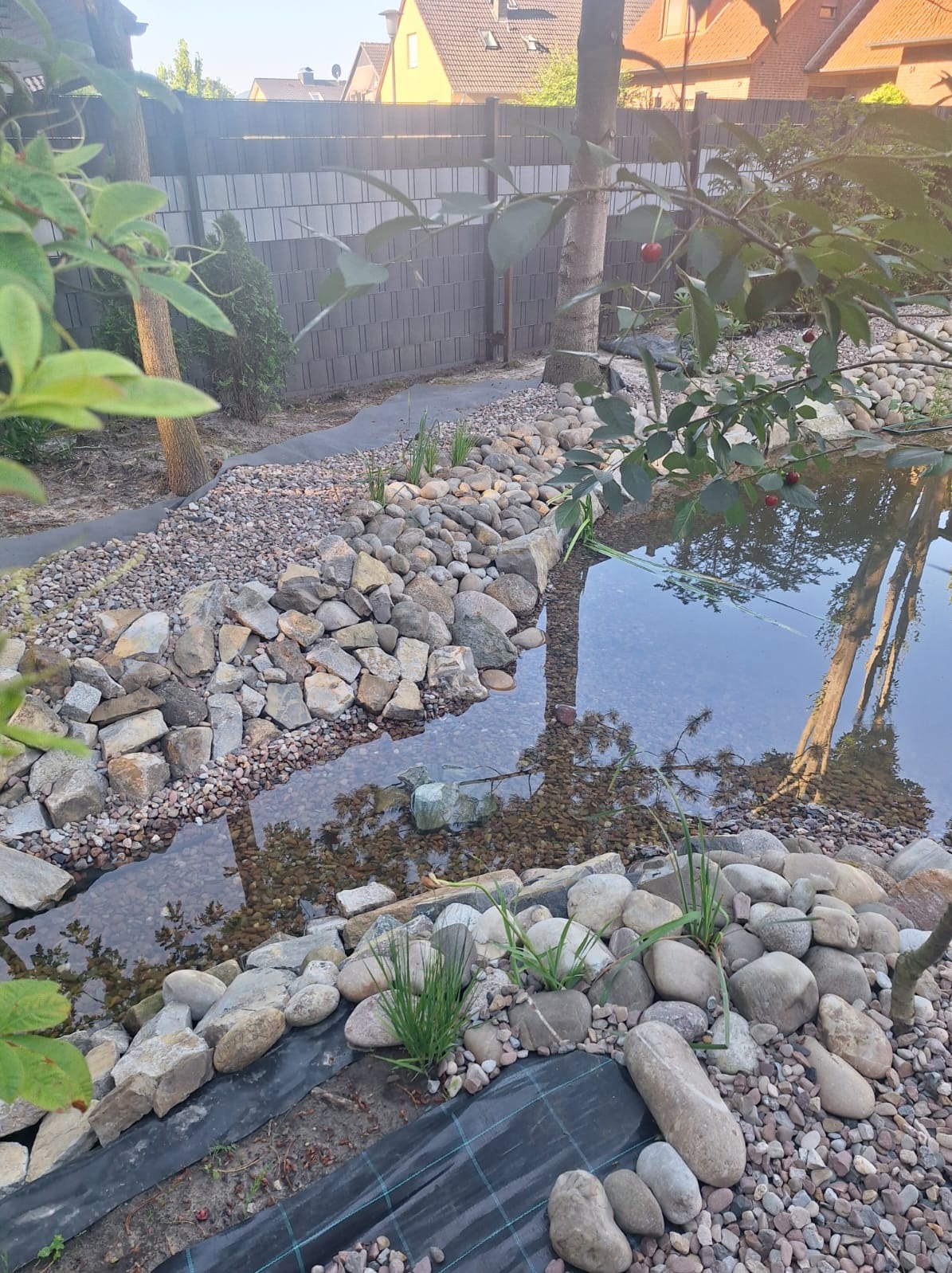 Oczko wodne z kamieniami i roślinami w ogrodzie, otoczone drzewami i szarą ścianą. Woda odbija korony drzew, tworząc malowniczy krajobraz.