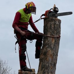 ARB-CIANEK - Firma Odśnieżająca Kościelisko