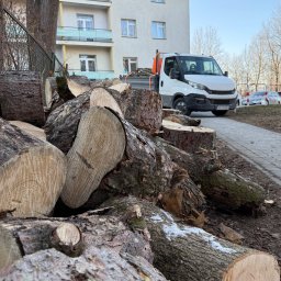 Wycinka drzew Kościelisko 3