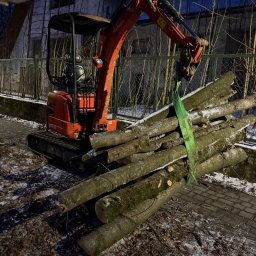 Wycinka drzew Kościelisko 2