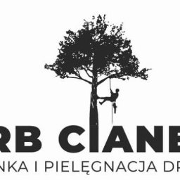 Wycinka drzew Kościelisko 1