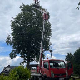 Wycinka drzew Kościelisko 4