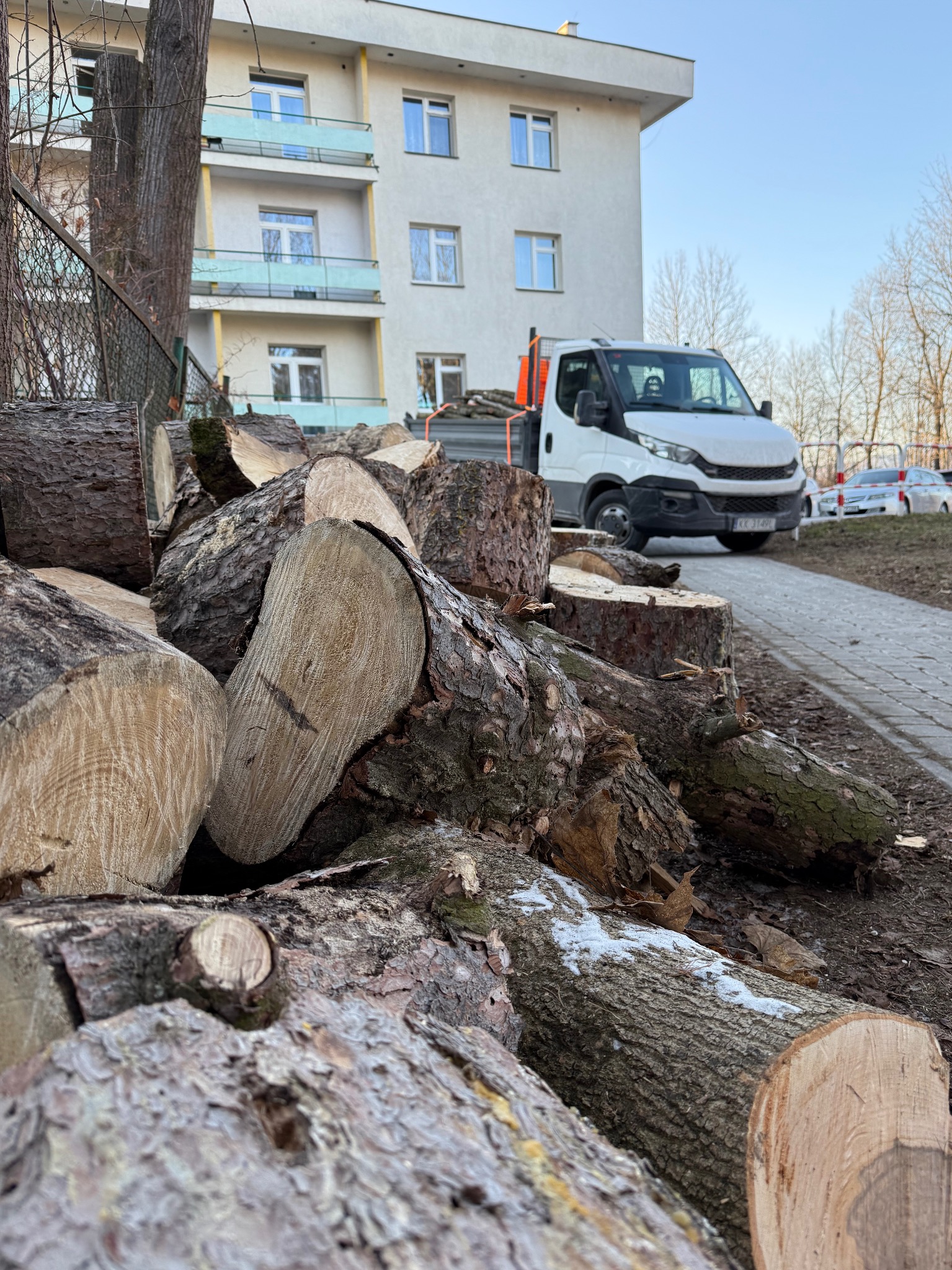 Stos pociętych kłód drewna iglastego na ziemi, z białym samochodem dostawczym i budynkiem mieszkalnym w tle. Świeżo ścięte drewno.